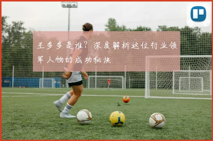 王多多是谁？深度解析这位行业领军人物的成功秘诀