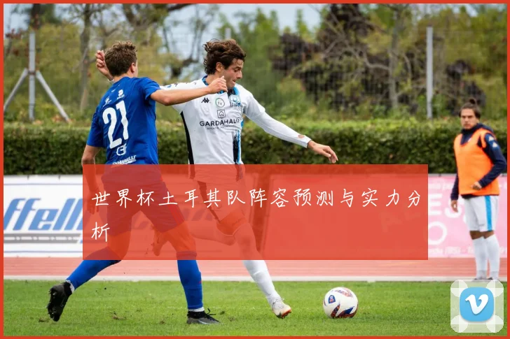 世界杯土耳其队阵容预测与实力分析