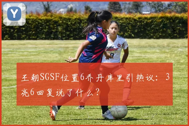 王朝SGSF位置6乔丹库里引热议：3亮6回复说了什么？
