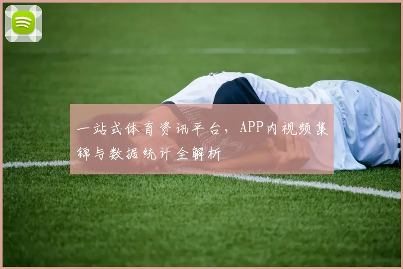 一站式体育资讯平台,APP内视频集锦与数据统计全解析